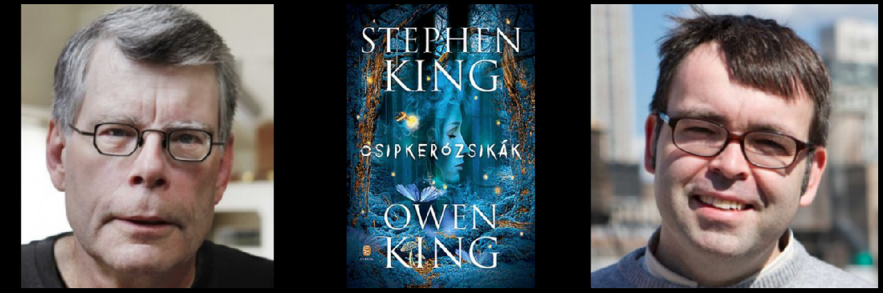 Stephen King és Owen King: Csipkerózsikák