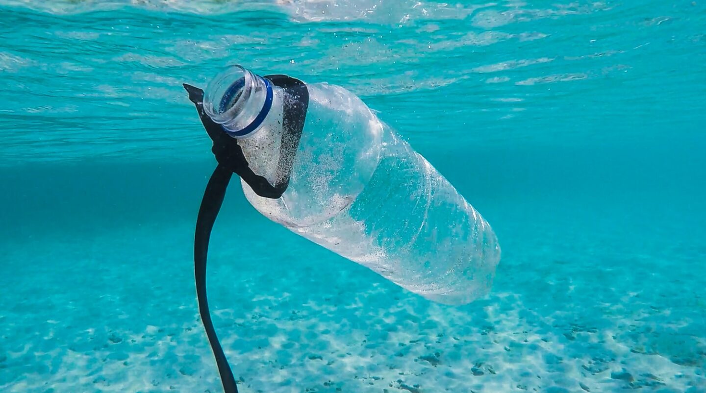 műanyagmentes július műanyag vizespalack óceán