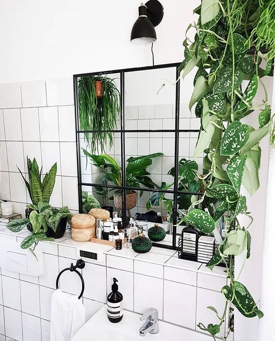 szobanövények inspiráció fürdőszoba